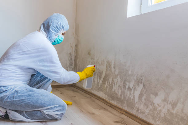 Licensed Crawl Space Mold Removal service in Penfield, PA - WQB Mold Removal
