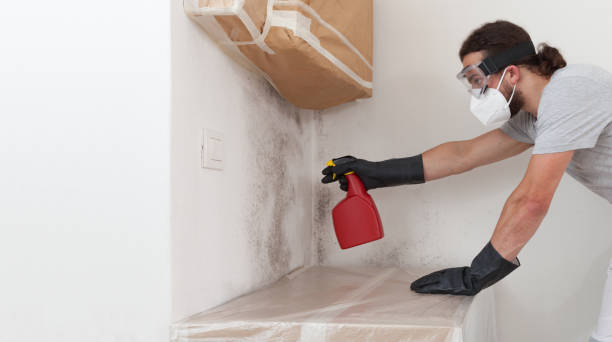 Professional Crawl Space Mold Removal technician working in Penfield, PA