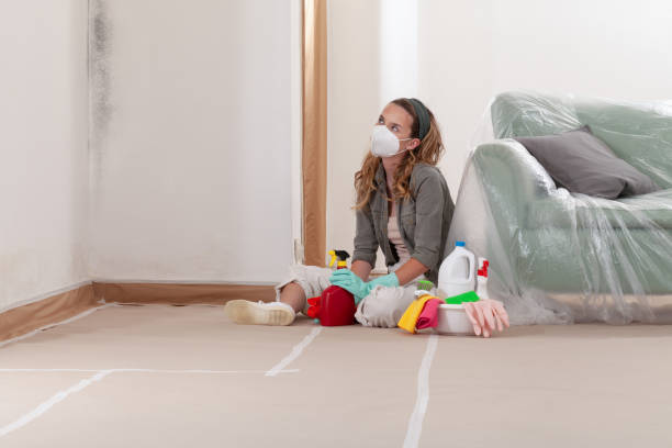 Reliable Crawl Space Mold Removal contractor in Penfield, PA by WQB Mold Removal